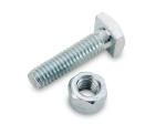 Terminal Bolt and Shoulder Nut